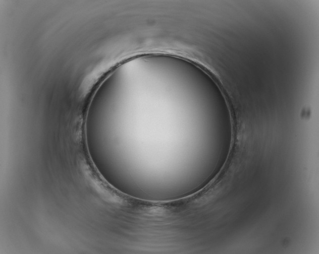 X0000112041507200908031503