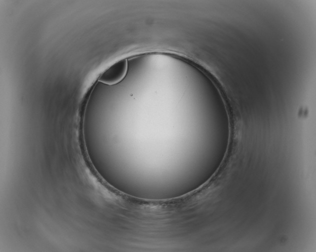 X0000112041508200908031503