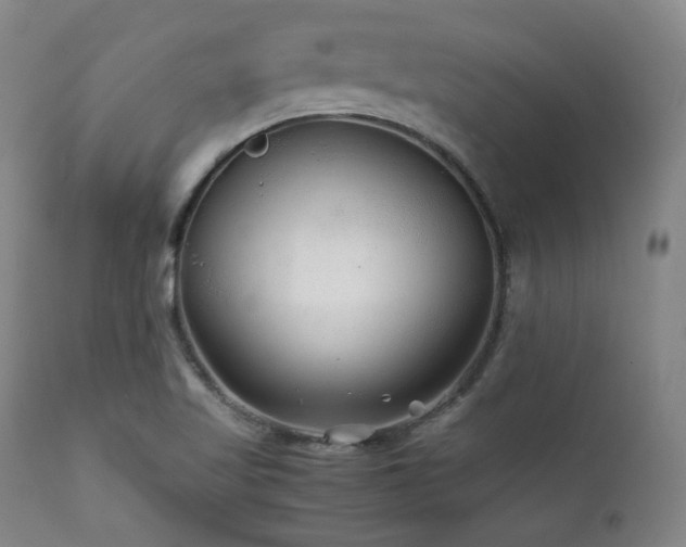 X0000112041509200908031503