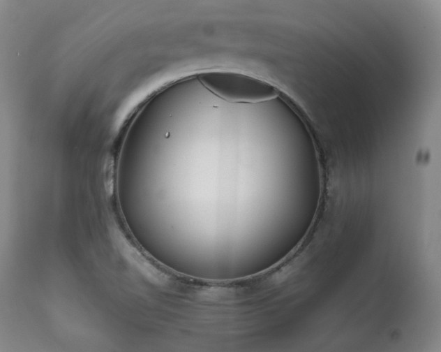 X0000112041510200908031503