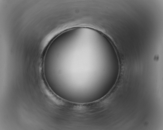 X0000112041511200908031503