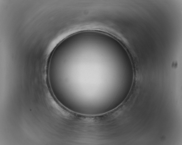 X0000112041512200908031504