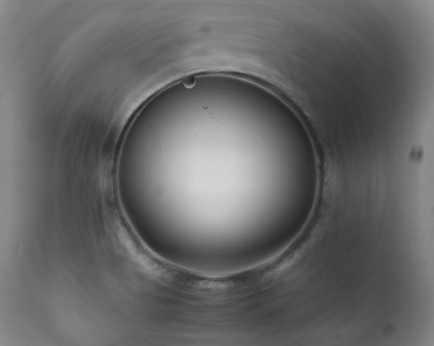 X0000112041513200908031504