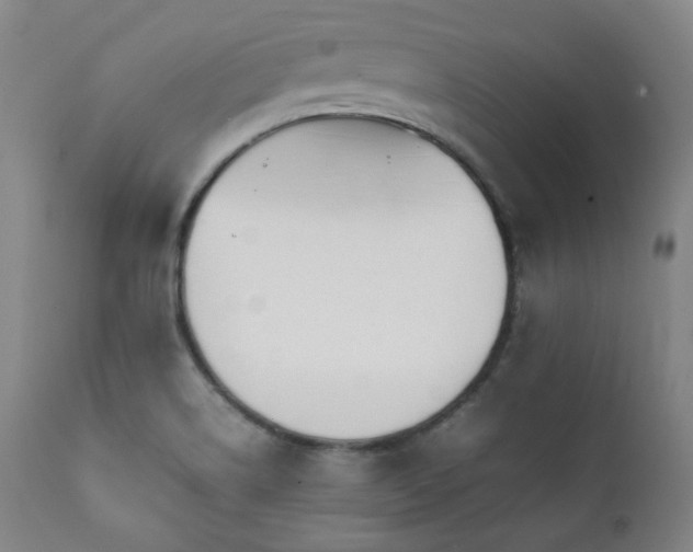 X0000112041514200908031504
