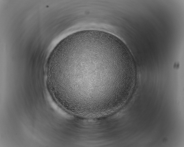 X0000112041515200908031504
