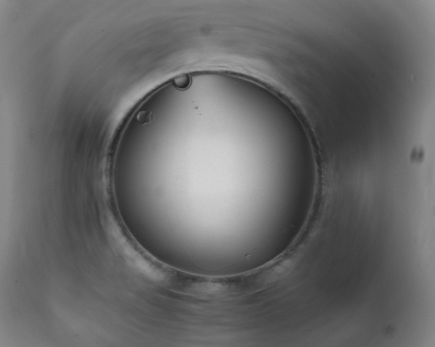X0000112041517200908031504