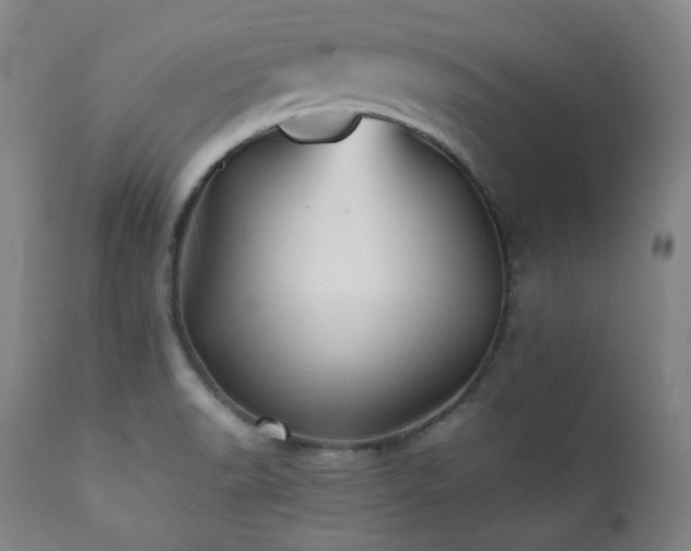 X0000112041518200908031504