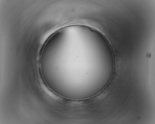 X0000112041519200908031504