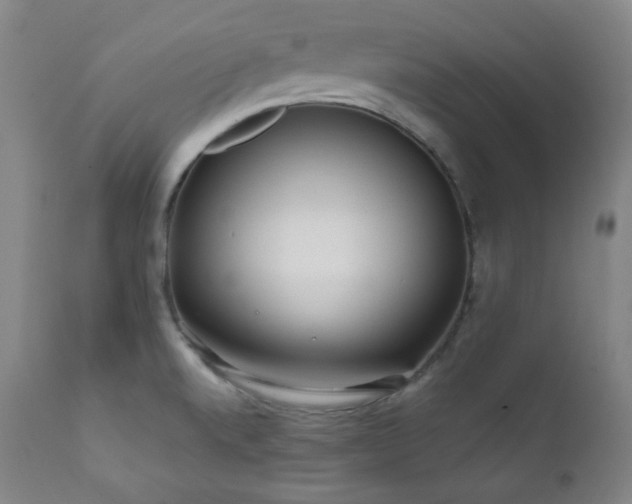 X0000112041520200908031504