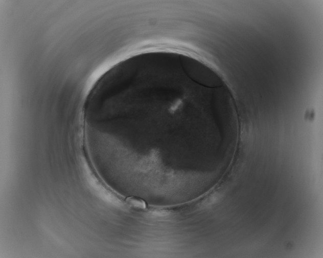 X0000112041522200908031504