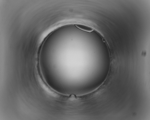 X0000112041523200908031504
