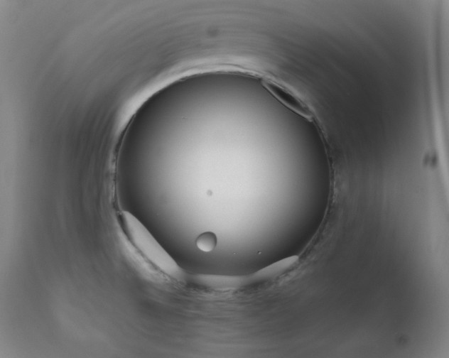 X0000112041524200908031504