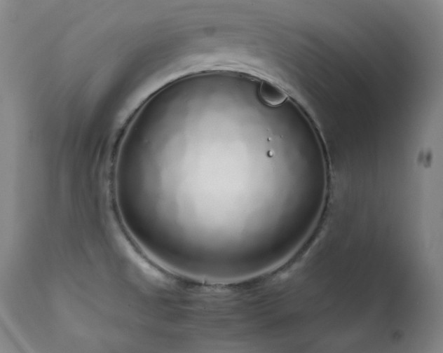 X0000112041525200908031504