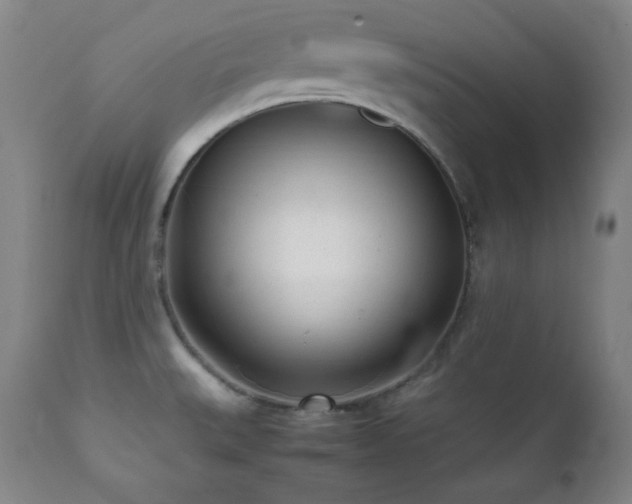 X0000112041527200908031504