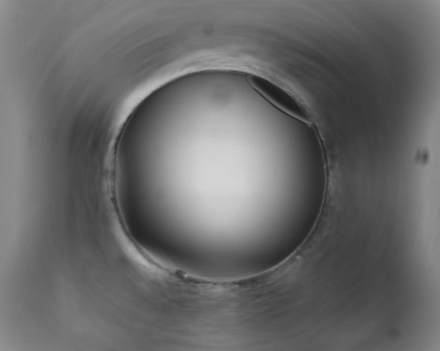 X0000112041528200908031504