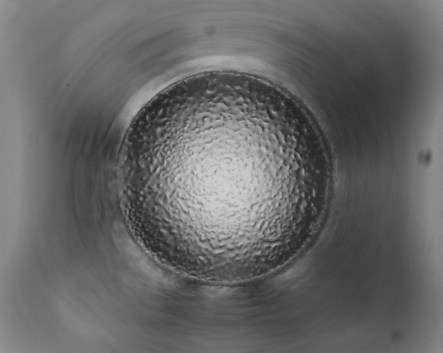 X0000112041529200908031504