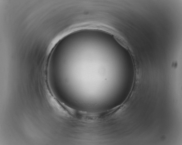 X0000112041530200908031504