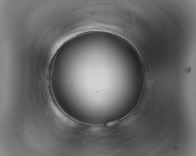 X0000112041531200908031504