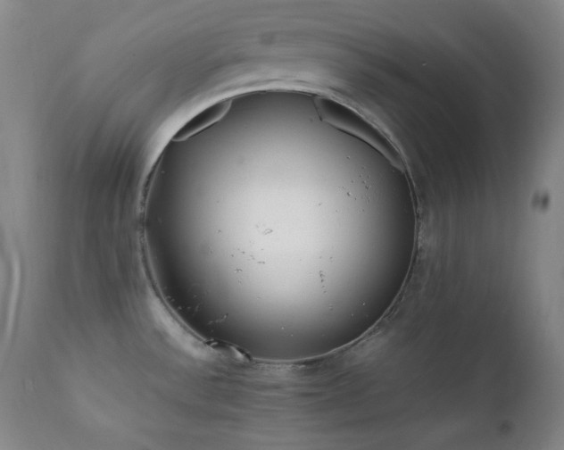 X0000112041532200908031504