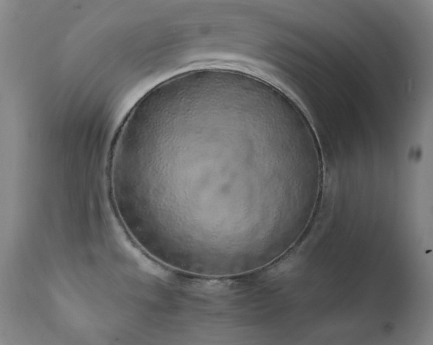 X0000112041533200908031504