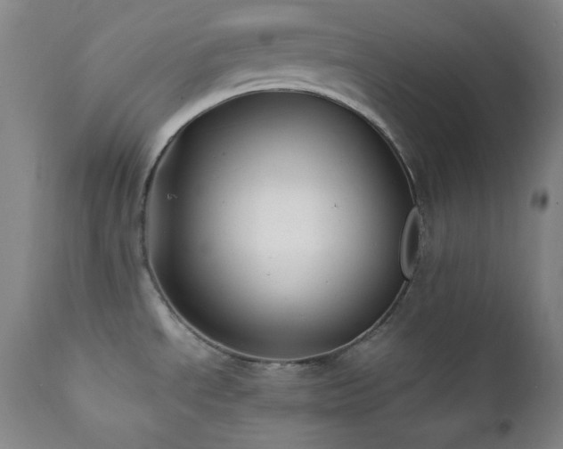 X0000112041534200908031504