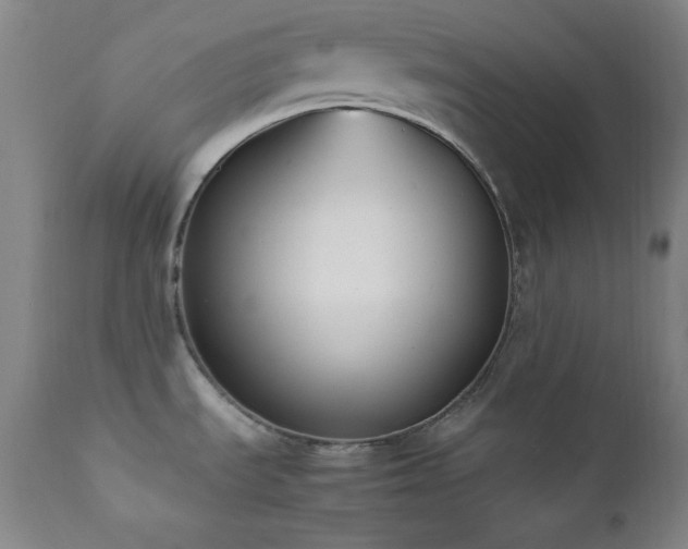 X0000112041535200908031504