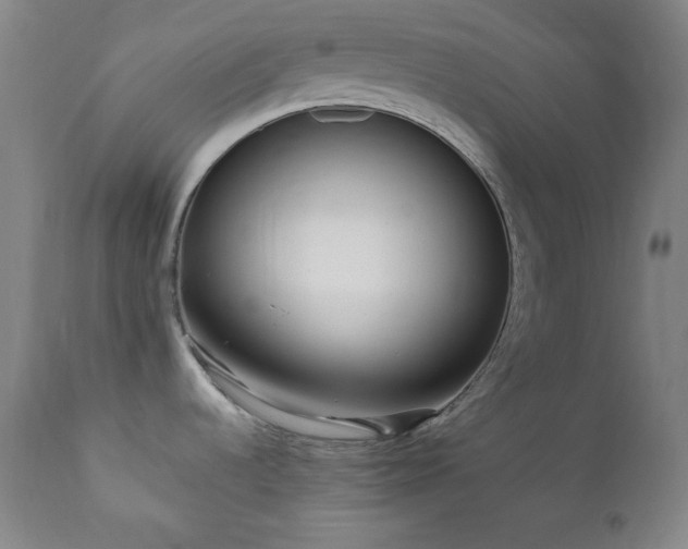 X0000112041536200908031504