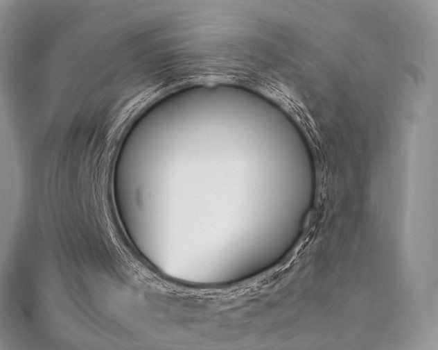 X0000112040001200908101411