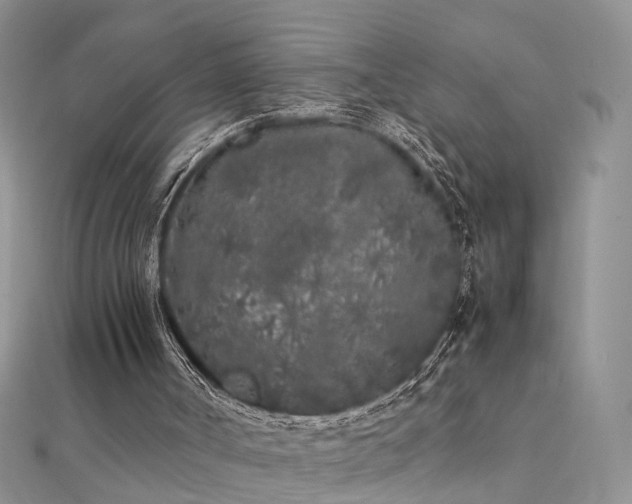 X0000112040002200908101411