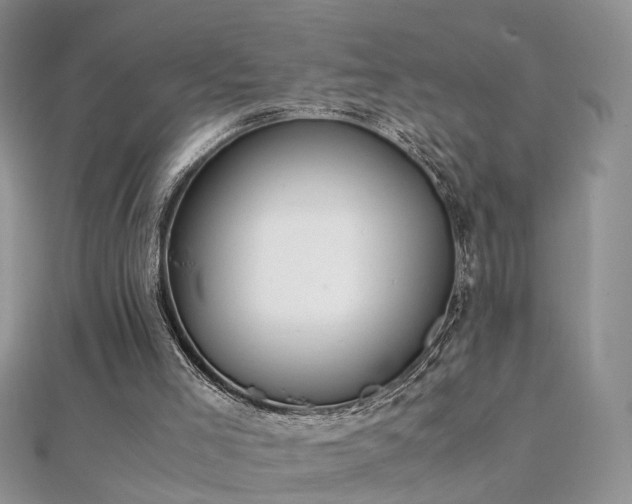X0000112040005200908101411