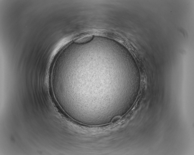 X0000112040006200908101411