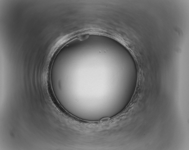 X0000112040007200908101411