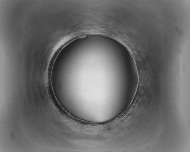 X0000112040008200908101411