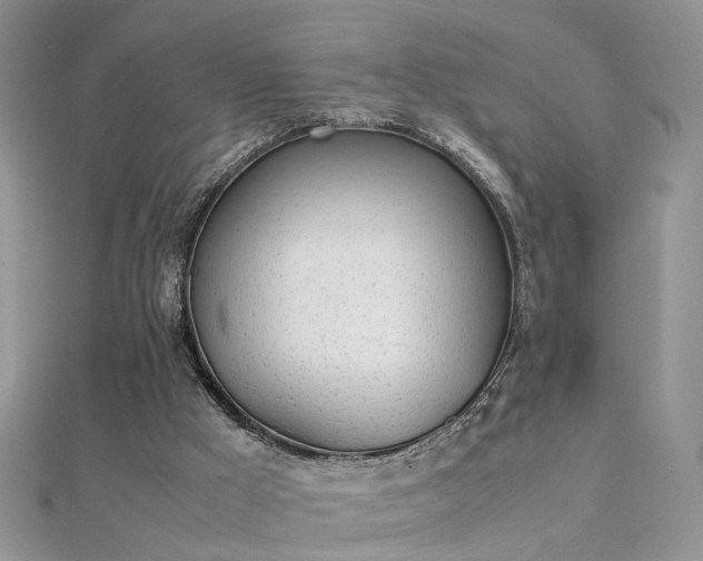 X0000112040009200908101411