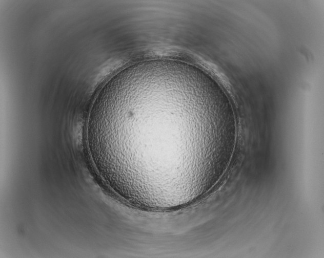 X0000112040010200908101411