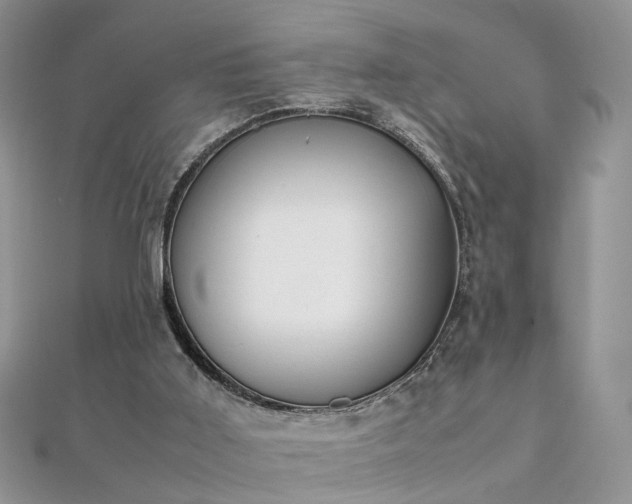 X0000112040011200908101411
