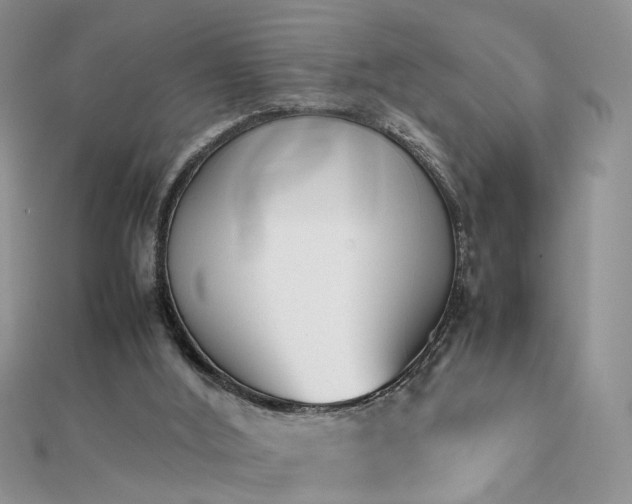 X0000112040012200908101411