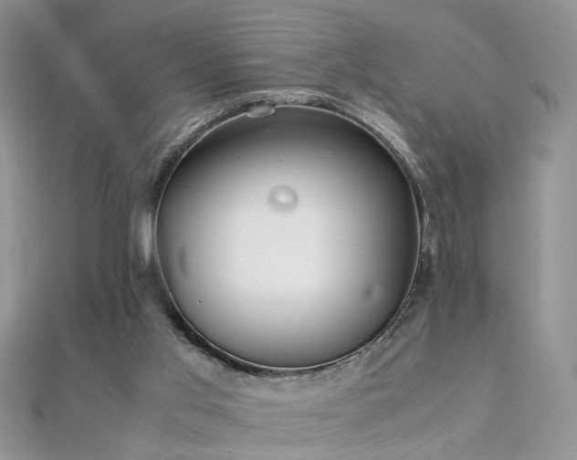 X0000112040013200908101411