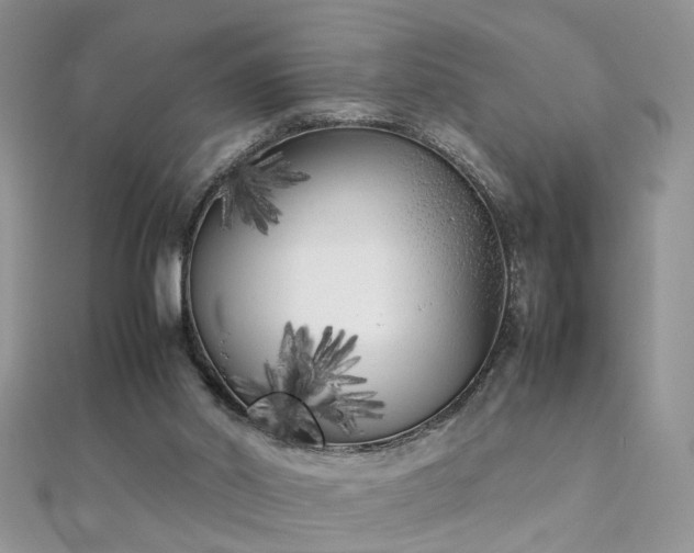 X0000112040014200908101411