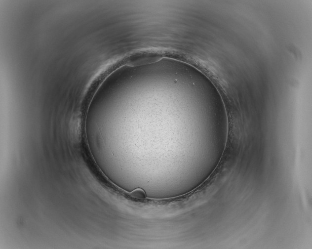 X0000112040016200908101411