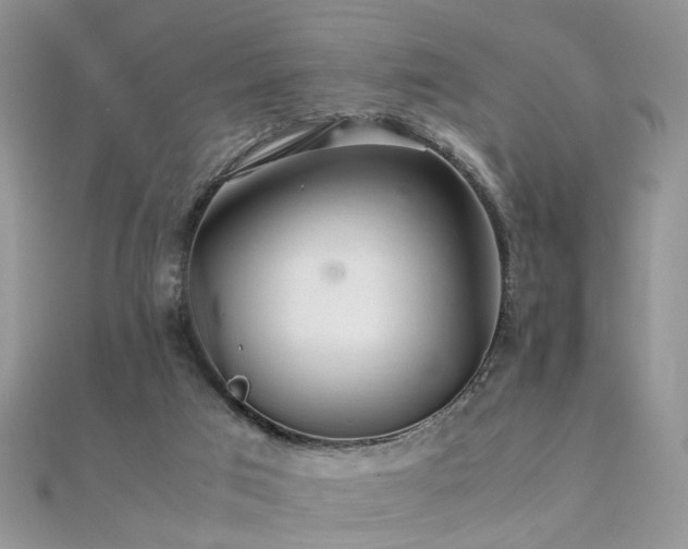 X0000112040017200908101411