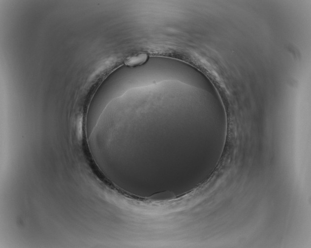 X0000112040019200908101411
