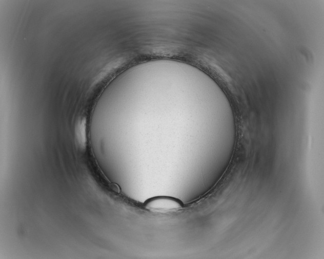 X0000112040020200908101411
