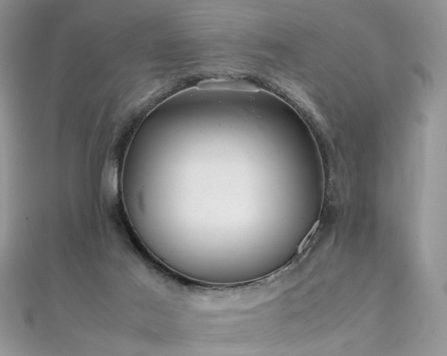 X0000112040021200908101411