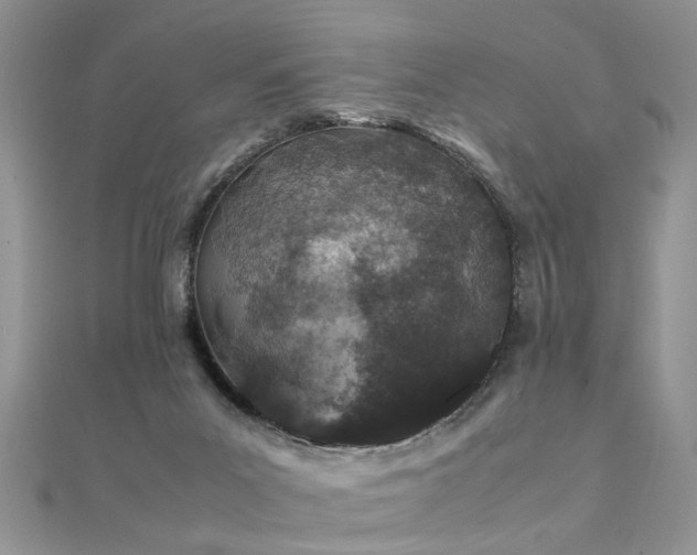 X0000112040023200908101411