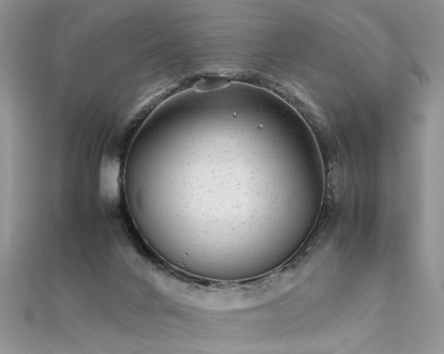 X0000112040024200908101411