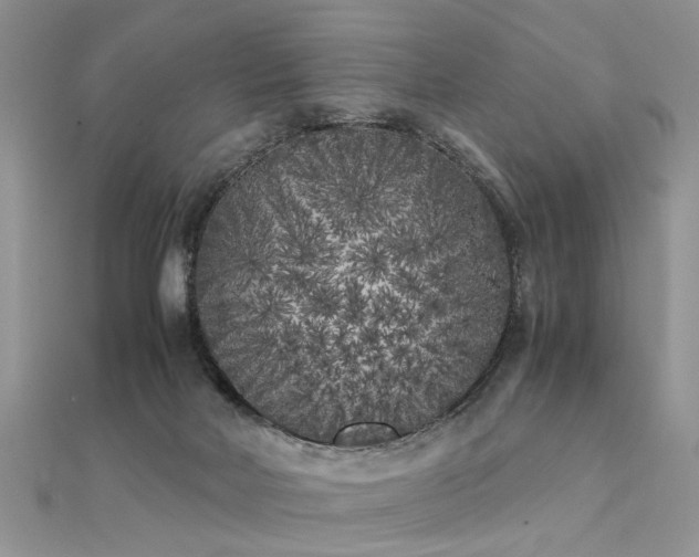 X0000112040026200908101411