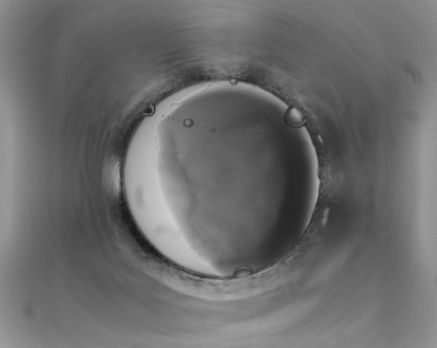 X0000112040027200908101411