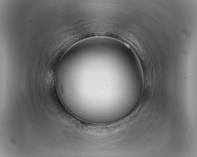 X0000112040029200908101411
