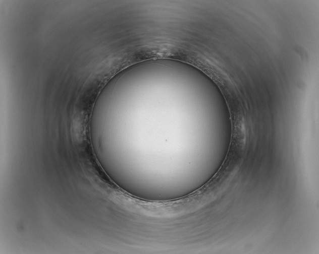 X0000112040030200908101411
